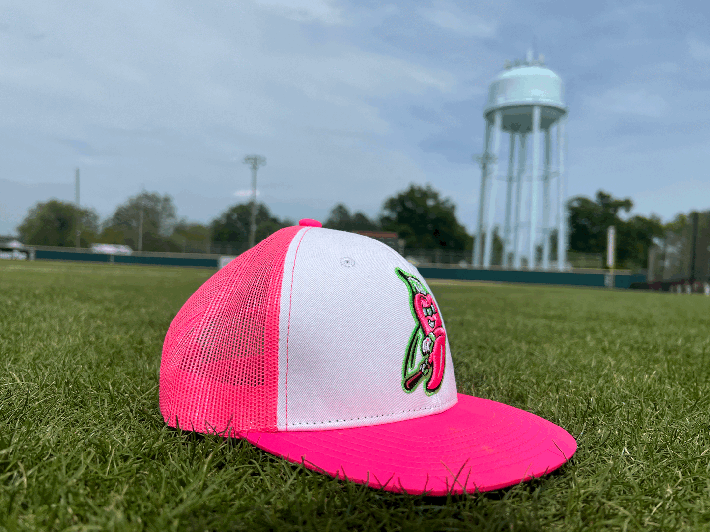 Cosmic Baseball Hat - Pink